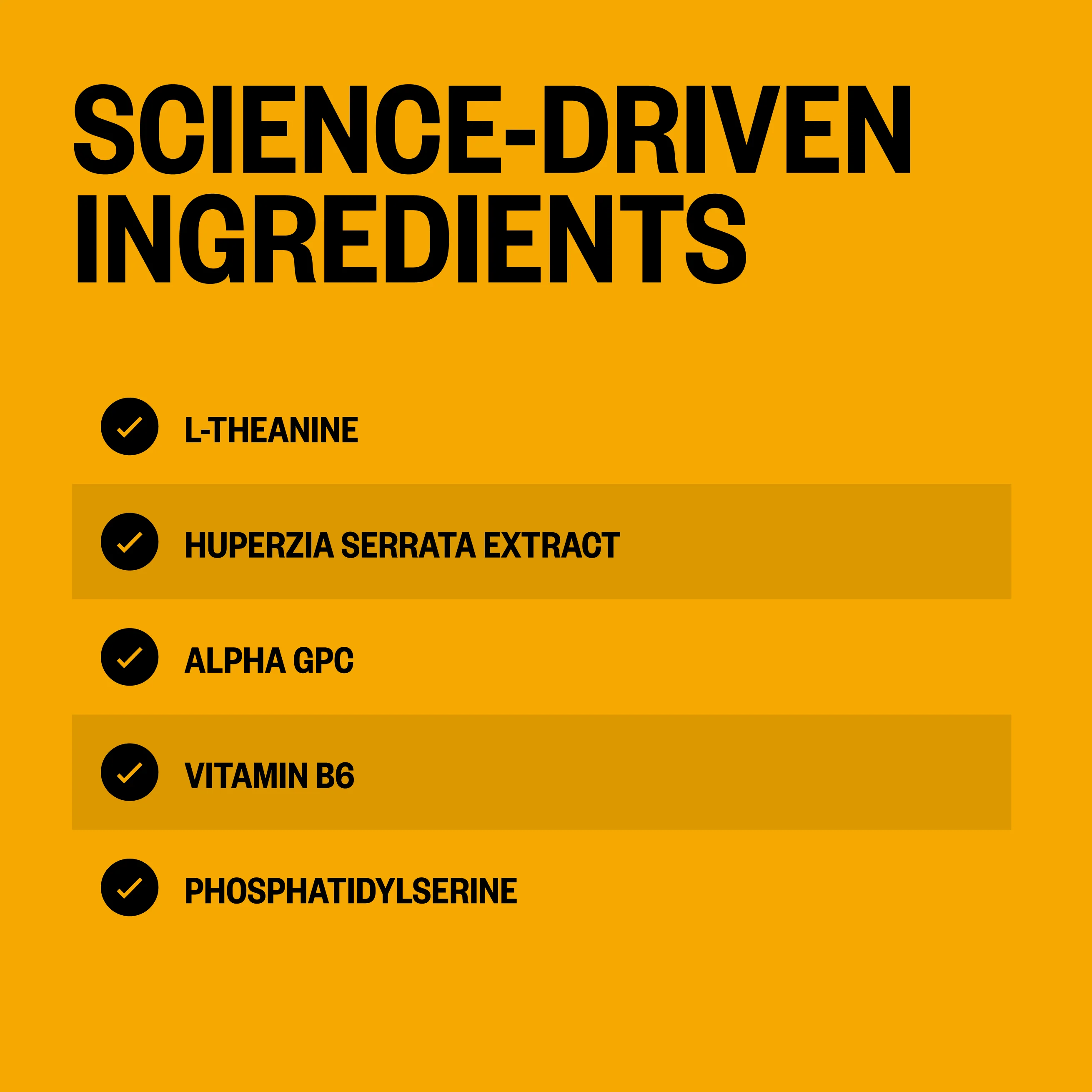 Alpha BRAIN® (90 ct) - Image 4