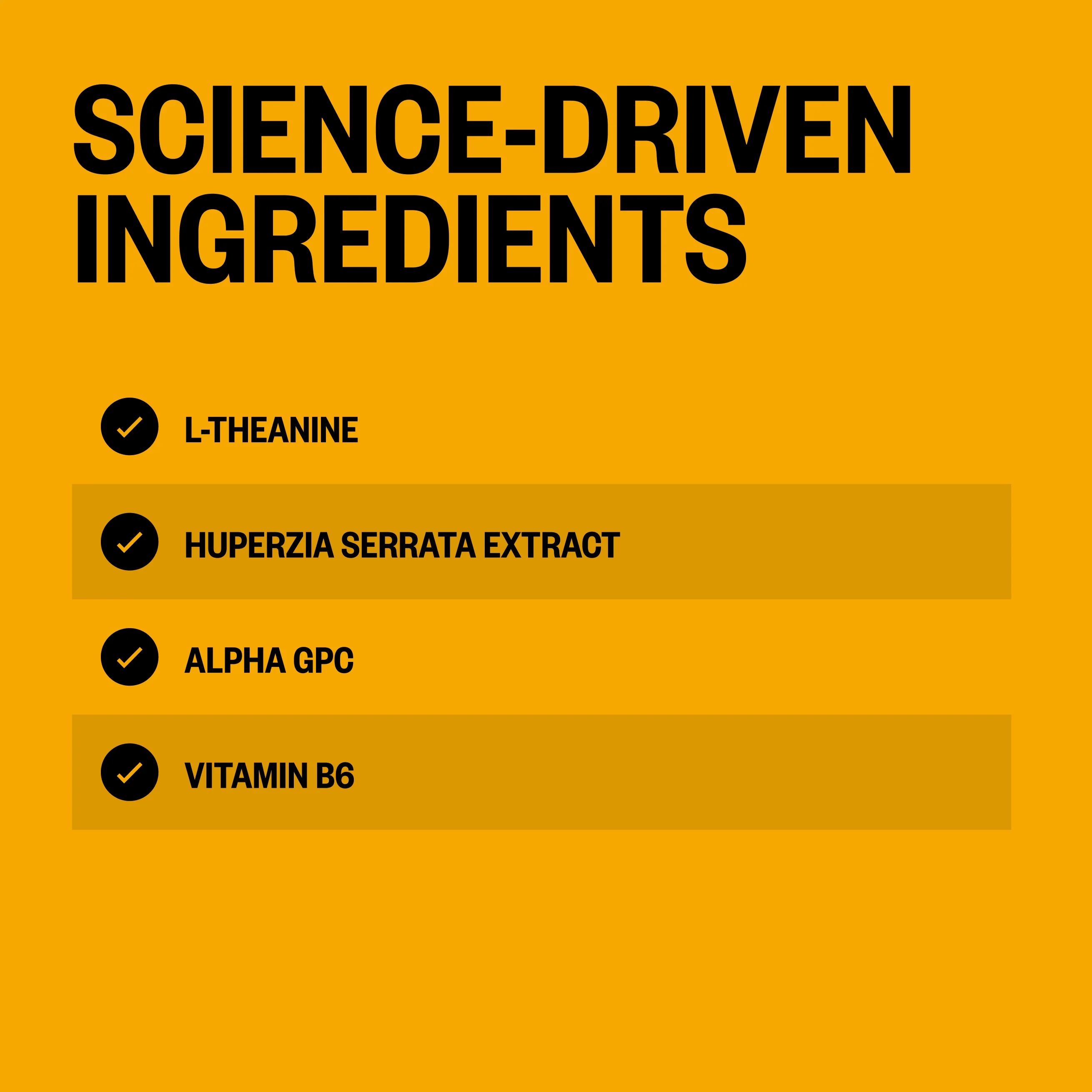 Alpha BRAIN® Instant - Blackberry Lemonade (30 ct) - Image 4